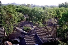 绿树丛中的北京四合院，一幅本应该永恒的画面  白皓摄