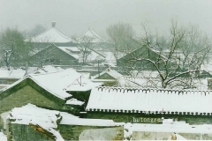 雪景   胡捷摄